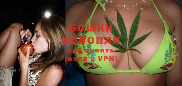 ПСИЛОЦИБИНОВЫЕ ГРИБЫ Покров