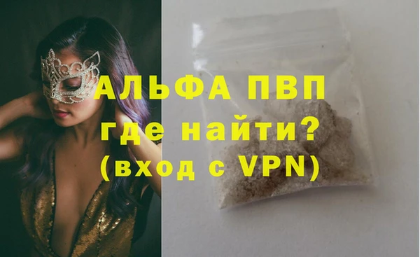 гашик Болхов