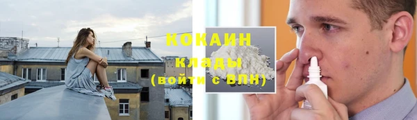 ПСИЛОЦИБИНОВЫЕ ГРИБЫ Покров