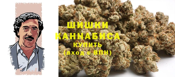 бошки Верея