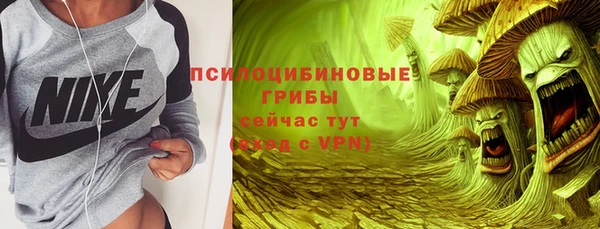 спиды Покачи