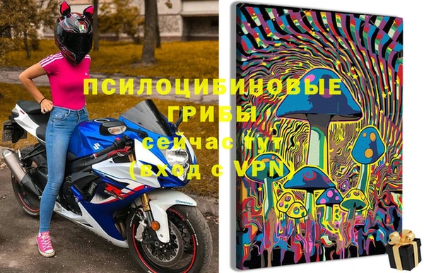 спиды Покачи