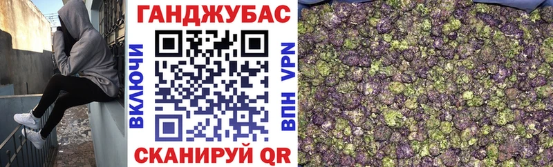 Конопля план Торопец